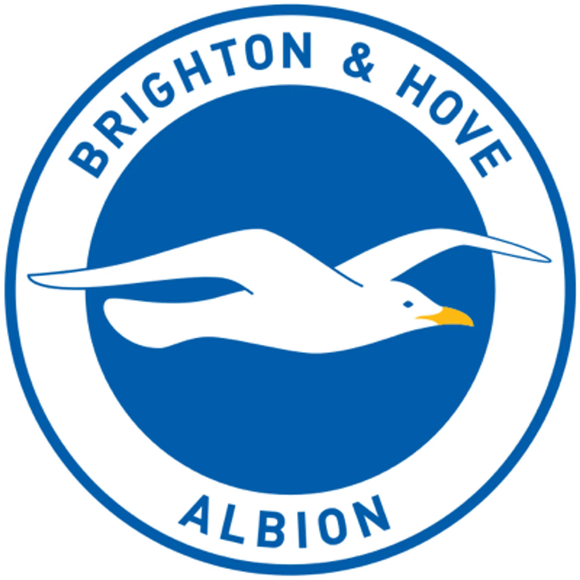 Brighton and Hove Albion Squad