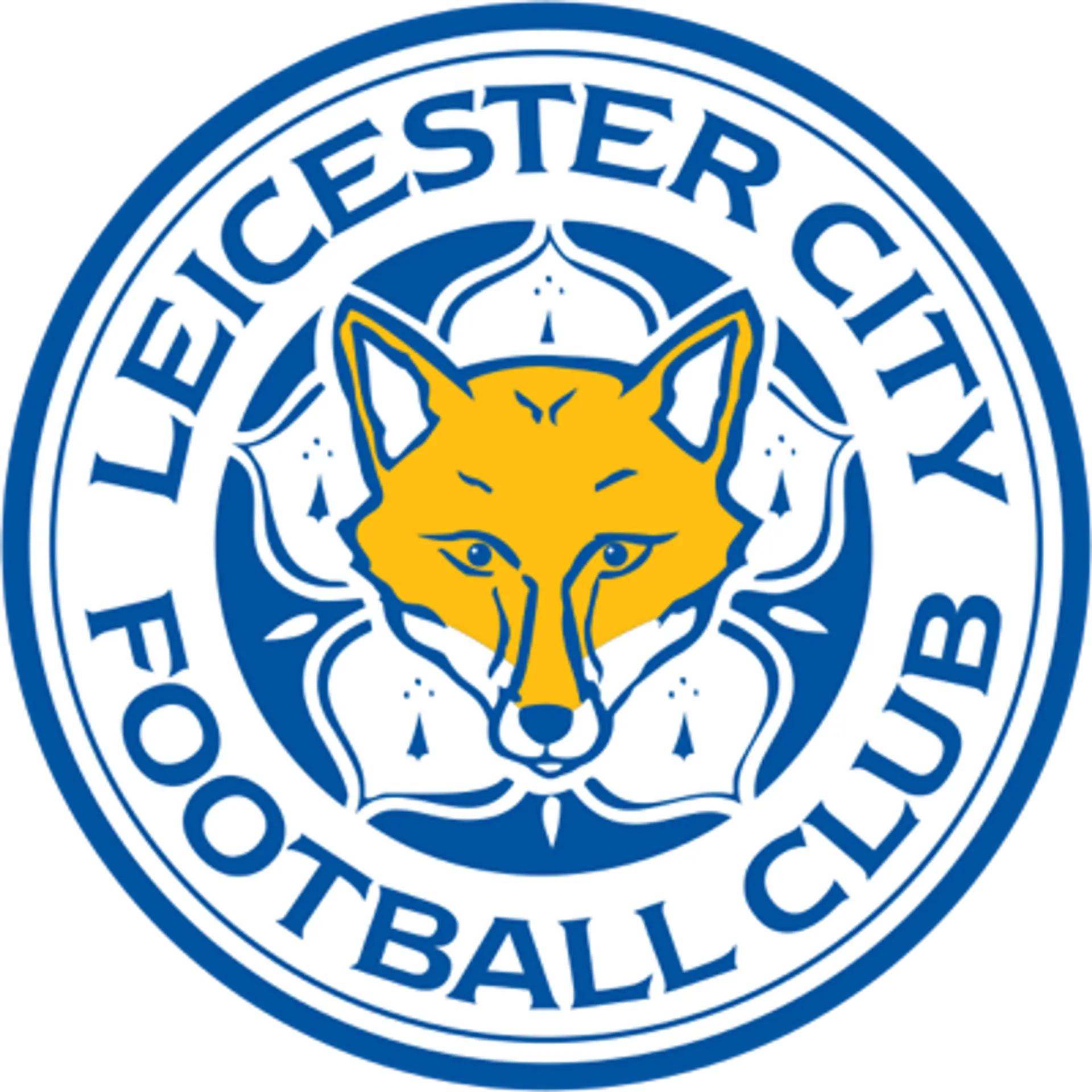 Leicester City Squad