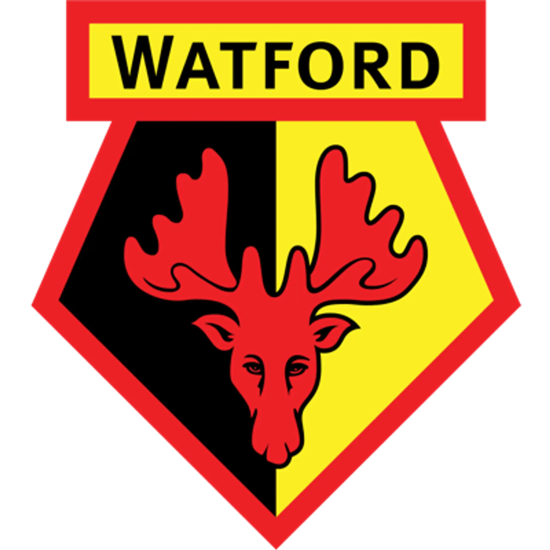Watford Squad