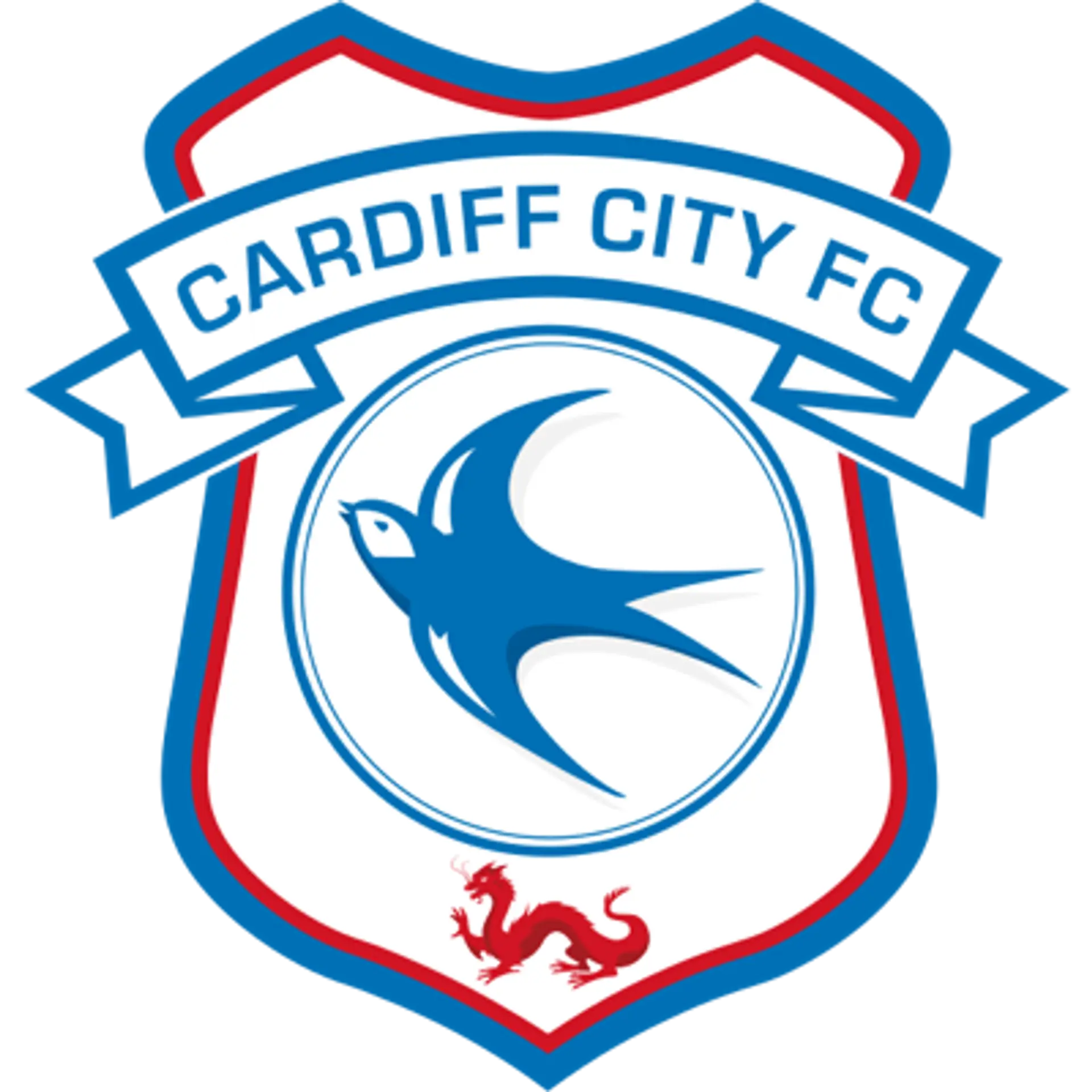 Cardiff City Squadra
