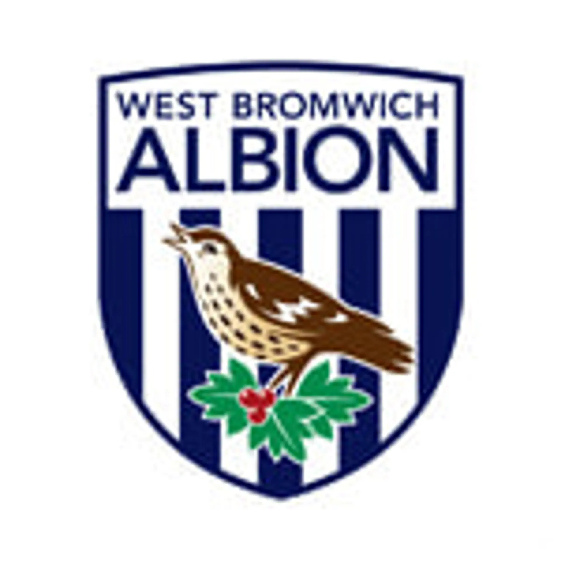 West Bromwich Albion  Clasificación