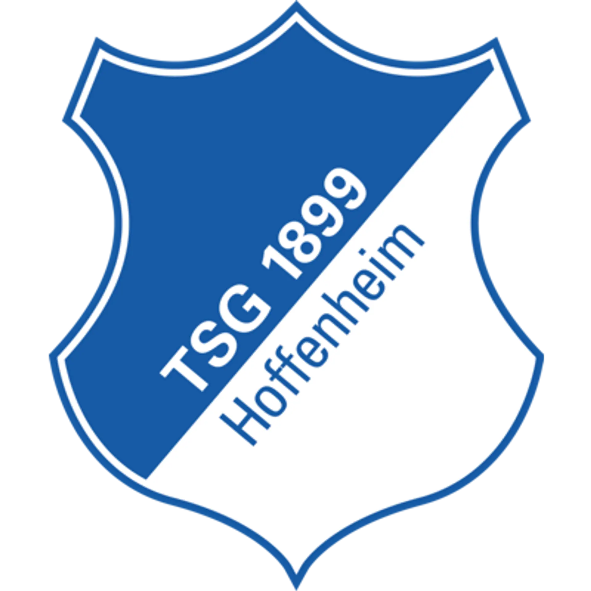 Hoffenheim Squad