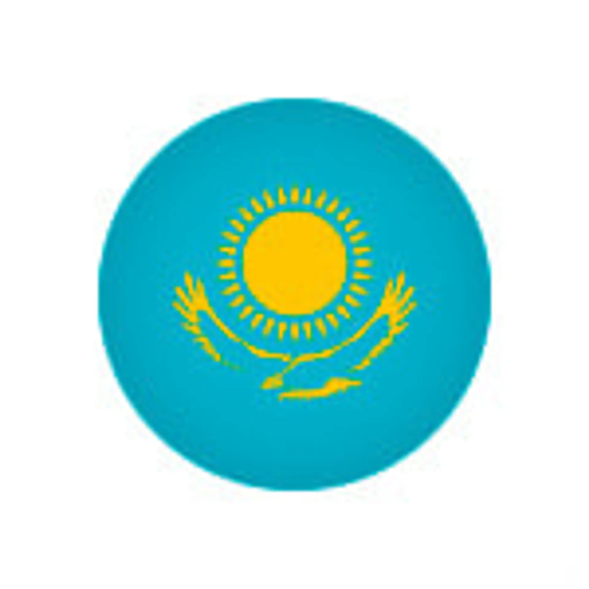 Kazakhstan Fans 