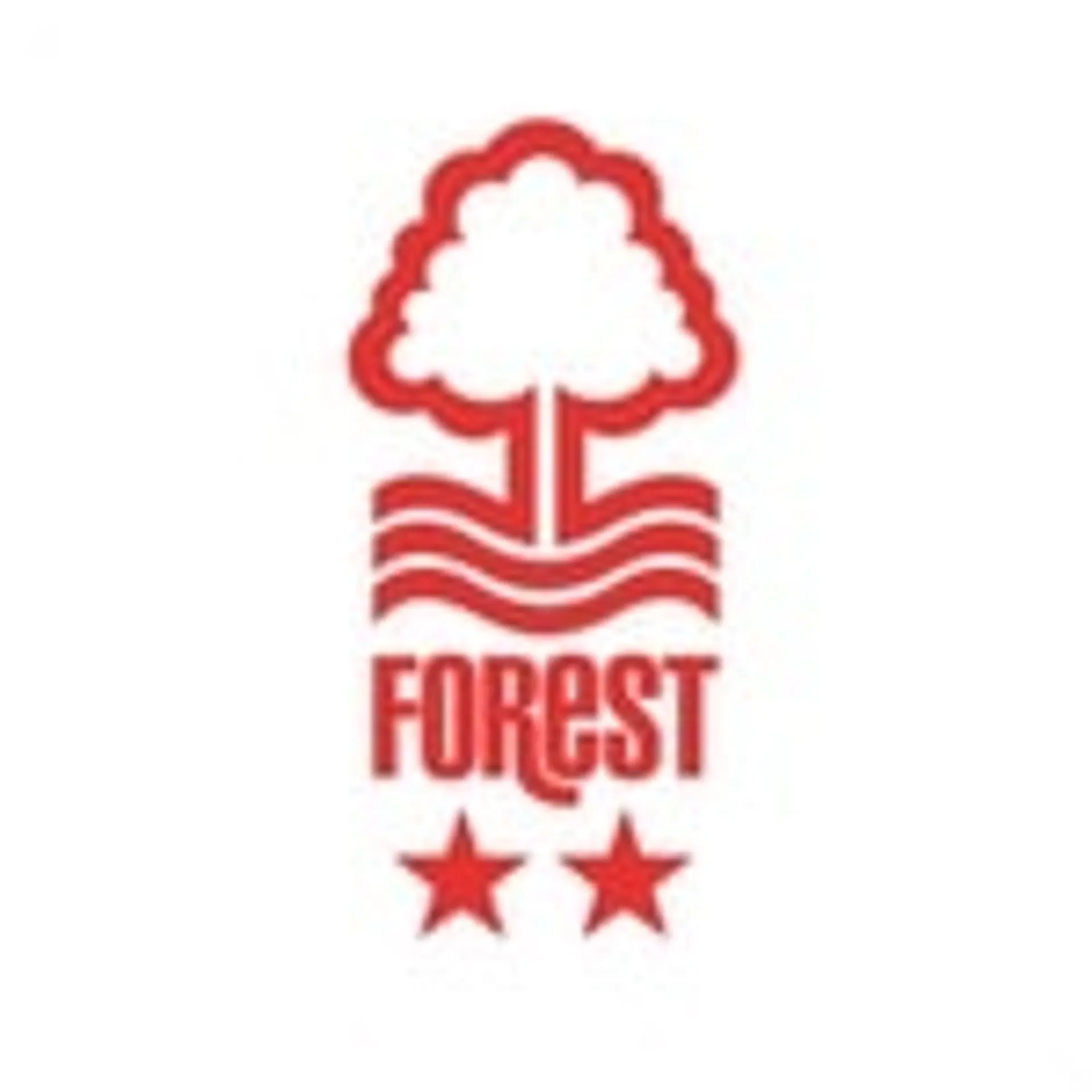 Nottingham Forest News 