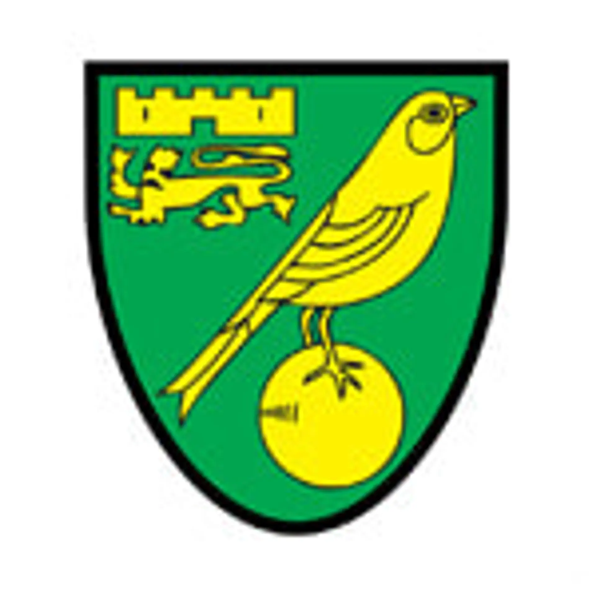 Norwich City Squad